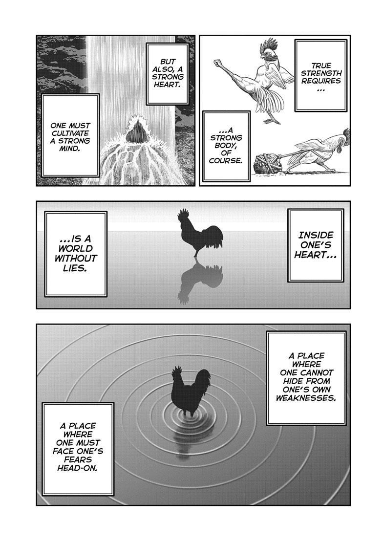 Read Rooster Fighter Manga Online