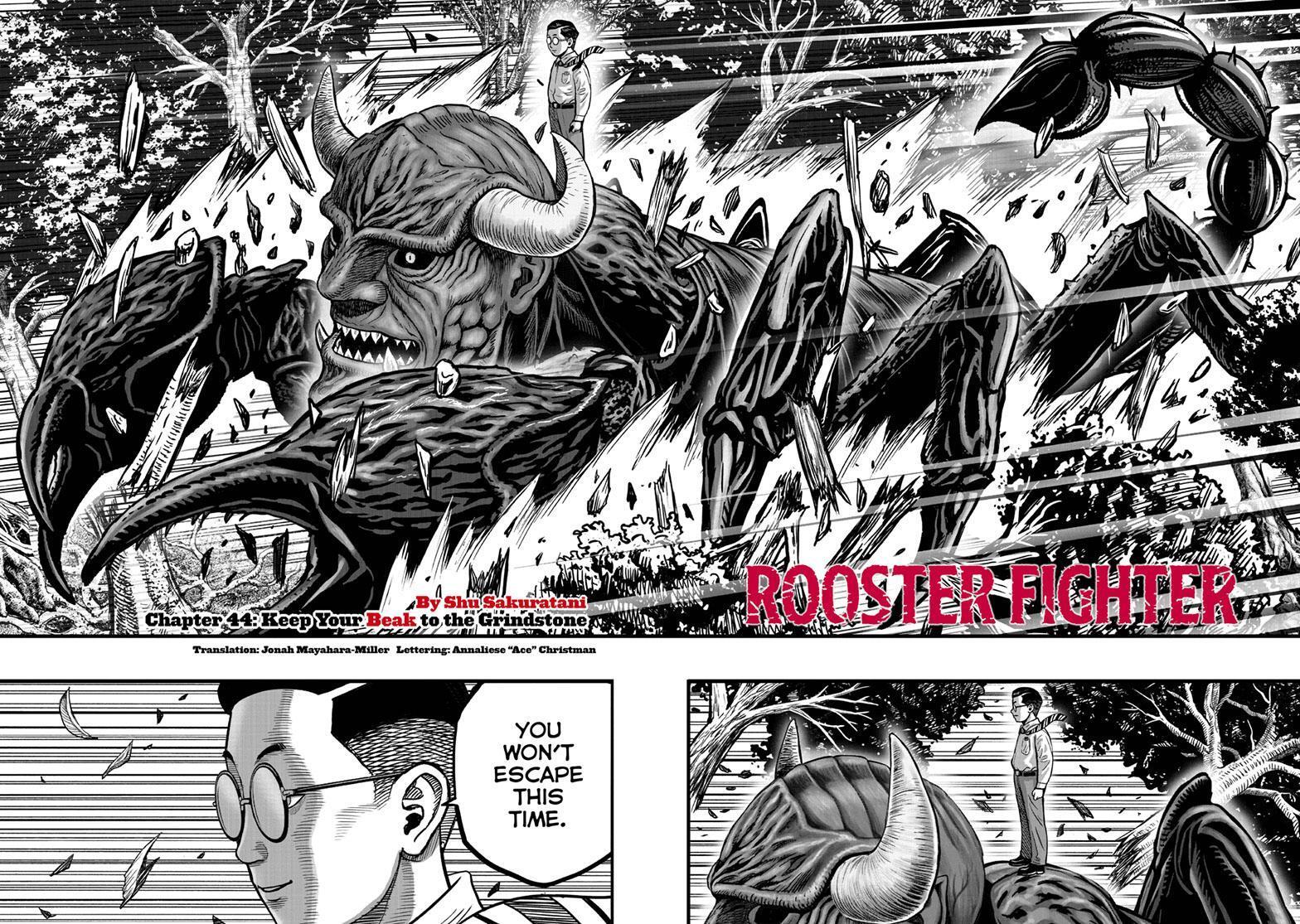 Read Rooster Fighter Manga Online