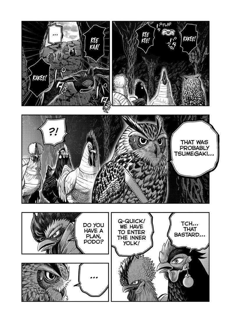Read Rooster Fighter Manga Online