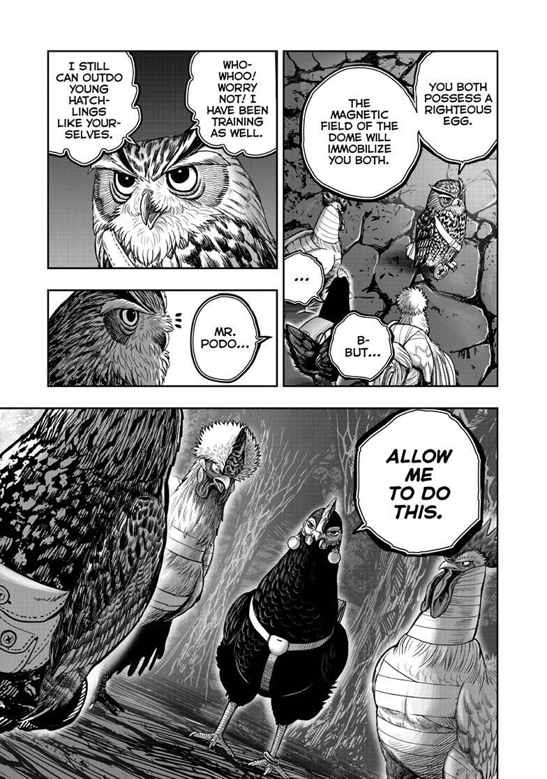 Read Rooster Fighter Manga Online