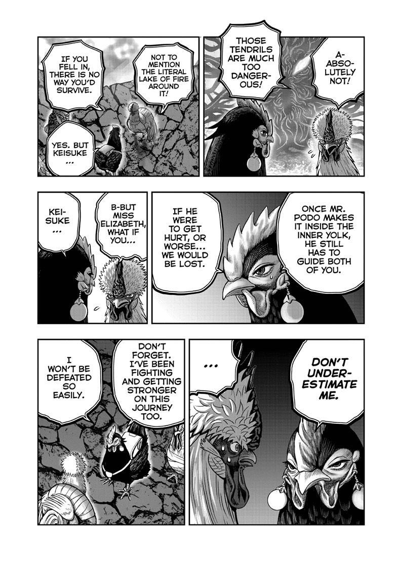 Read Rooster Fighter Manga Online