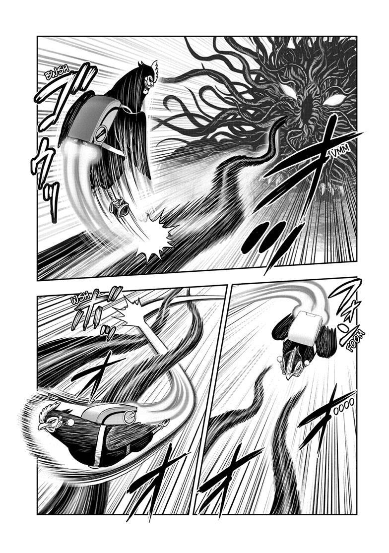 Read Rooster Fighter Manga Online