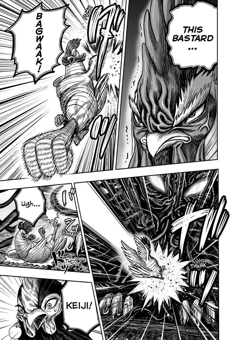 Read Rooster Fighter Manga Online