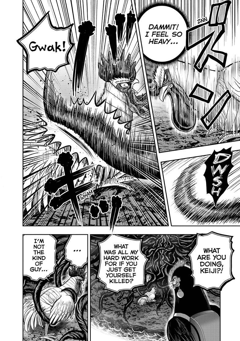 Read Rooster Fighter Manga Online