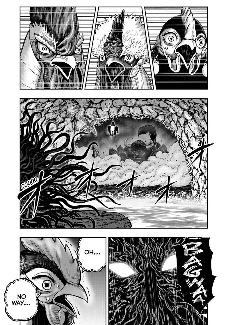 Read Rooster Fighter Manga Online