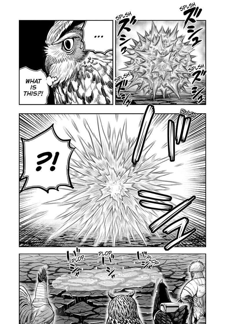 Read Rooster Fighter Manga Online