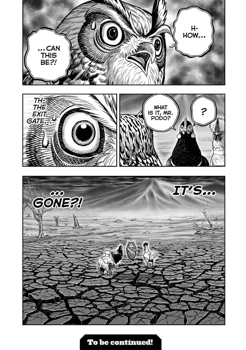 Read Rooster Fighter Manga Online