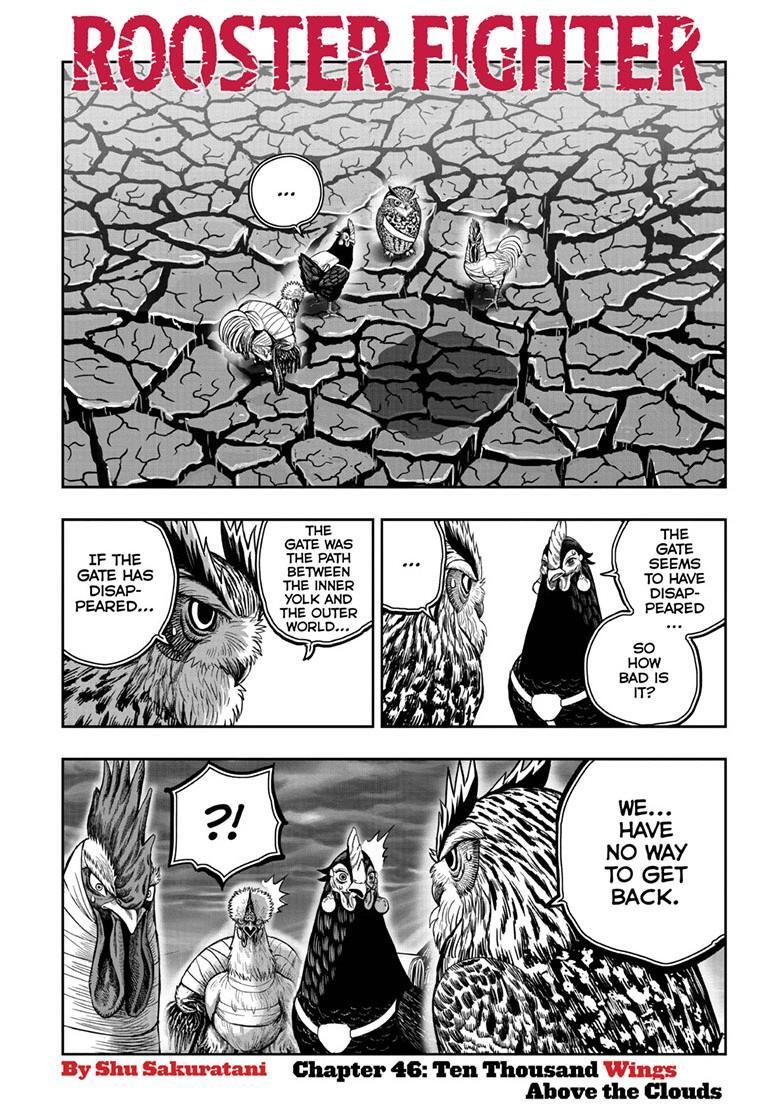 Read Rooster Fighter Manga Online