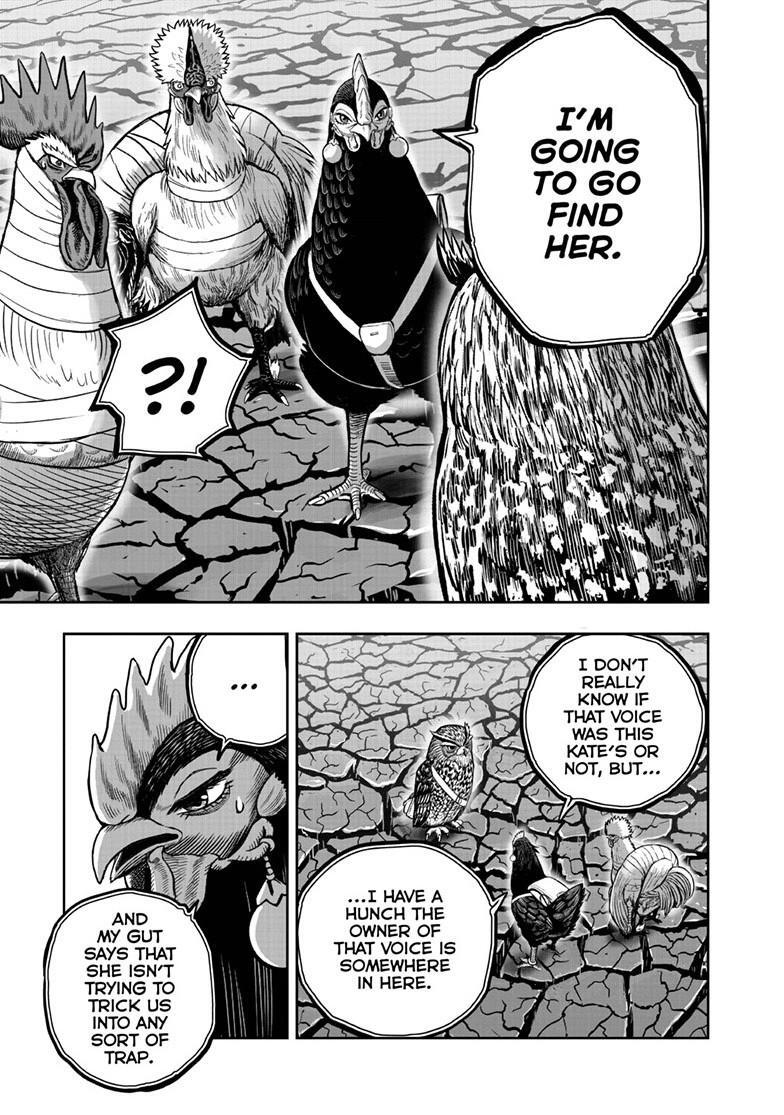 Read Rooster Fighter Manga Online