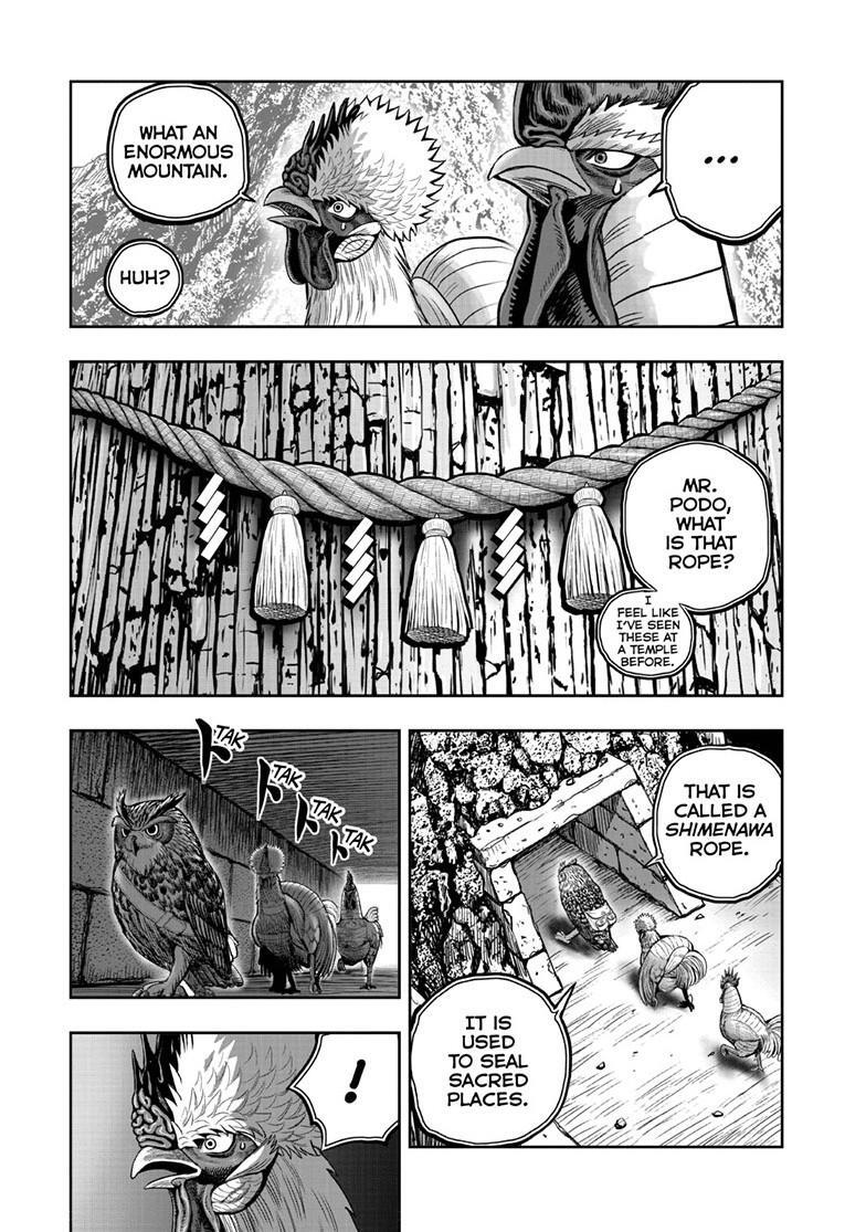 Read Rooster Fighter Manga Online