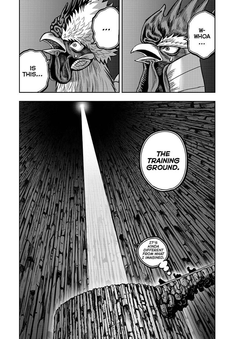Read Rooster Fighter Manga Online