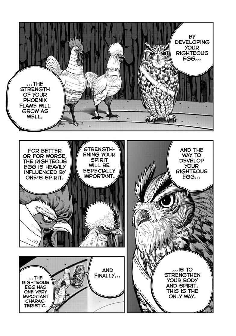 Read Rooster Fighter Manga Online