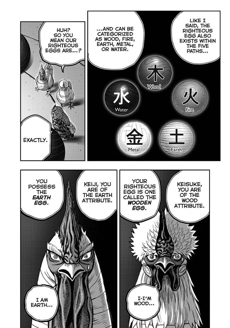 Read Rooster Fighter Manga Online