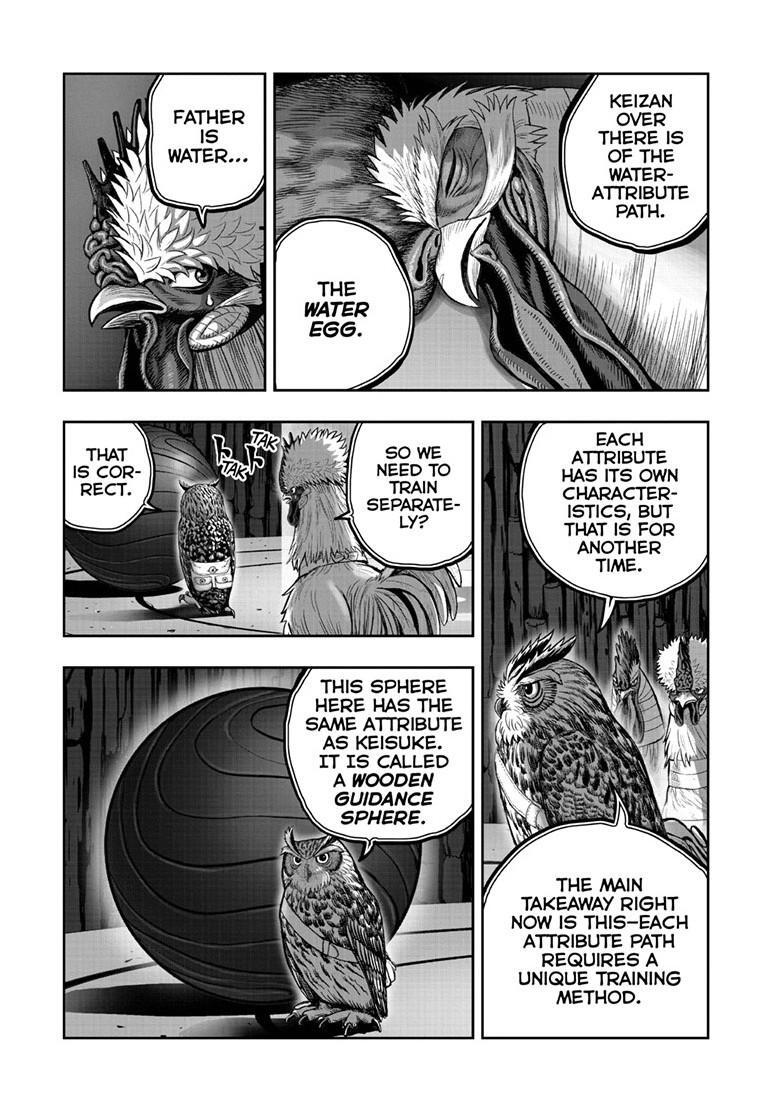 Read Rooster Fighter Manga Online