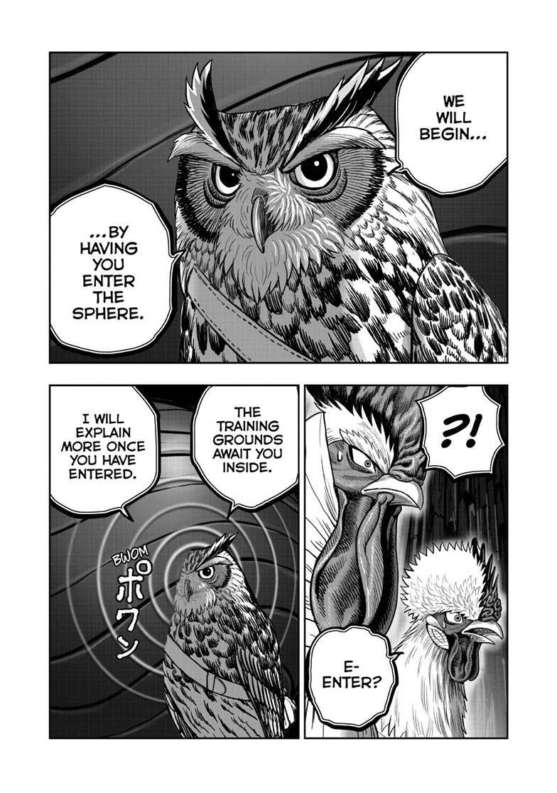 Read Rooster Fighter Manga Online