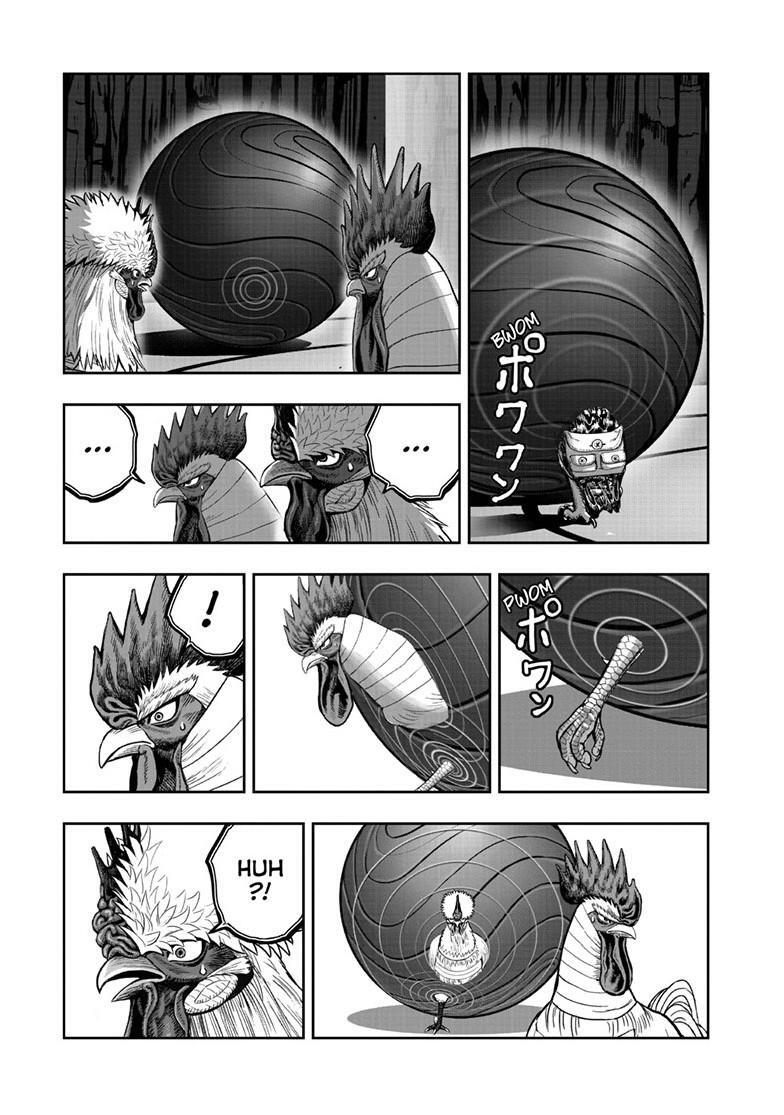 Read Rooster Fighter Manga Online