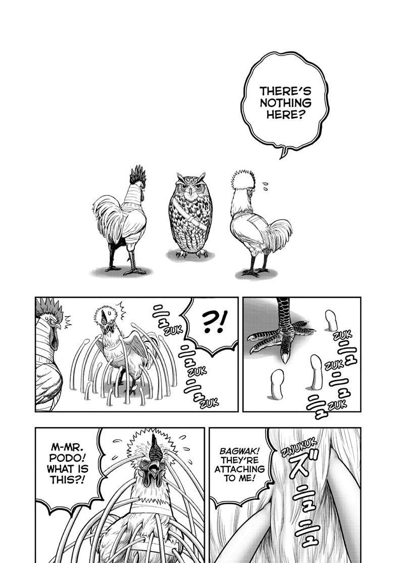 Read Rooster Fighter Manga Online