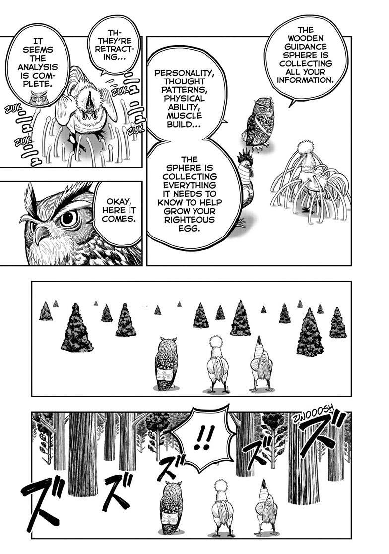 Read Rooster Fighter Manga Online