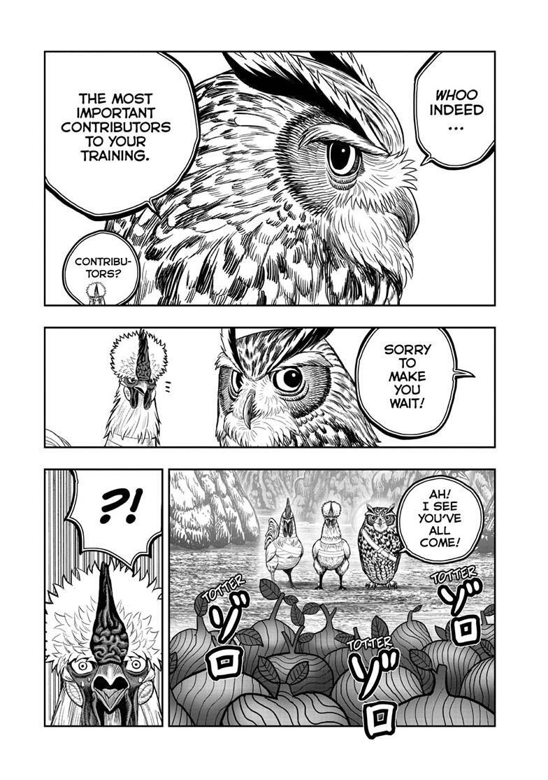 Read Rooster Fighter Manga Online