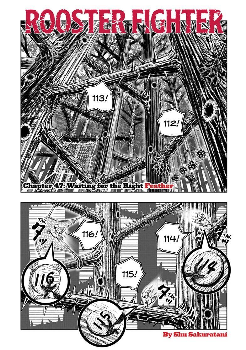Read Rooster Fighter Manga Online