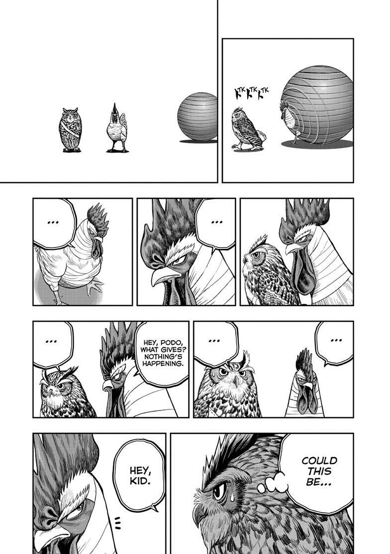 Read Rooster Fighter Manga Online