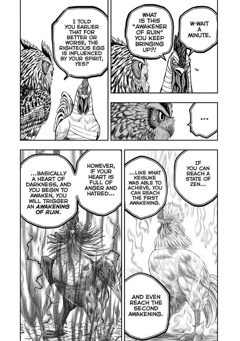 Read Rooster Fighter Manga Online