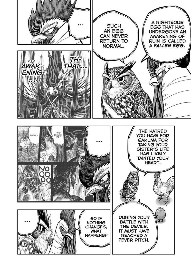 Read Rooster Fighter Manga Online