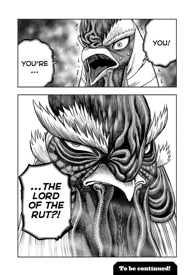 Read Rooster Fighter Manga Online