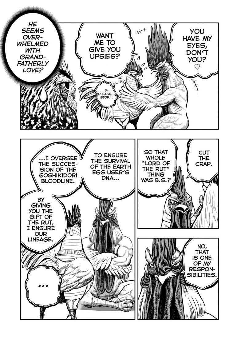 Read Rooster Fighter Manga Online