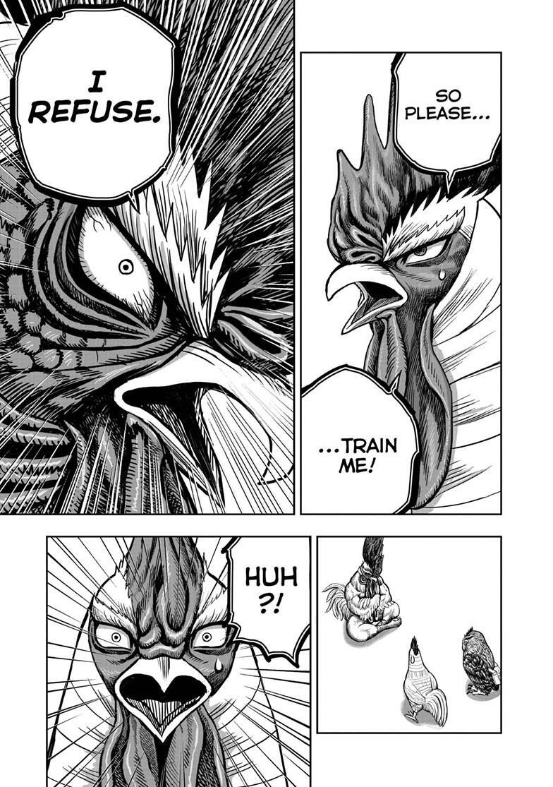 Read Rooster Fighter Manga Online