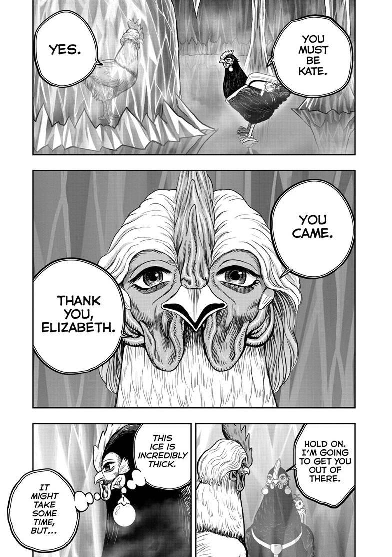 Read Rooster Fighter Manga Online