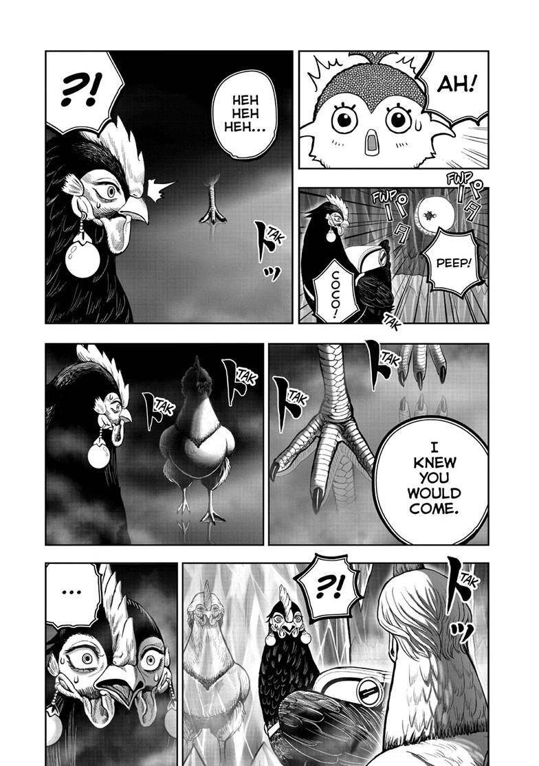 Read Rooster Fighter Manga Online