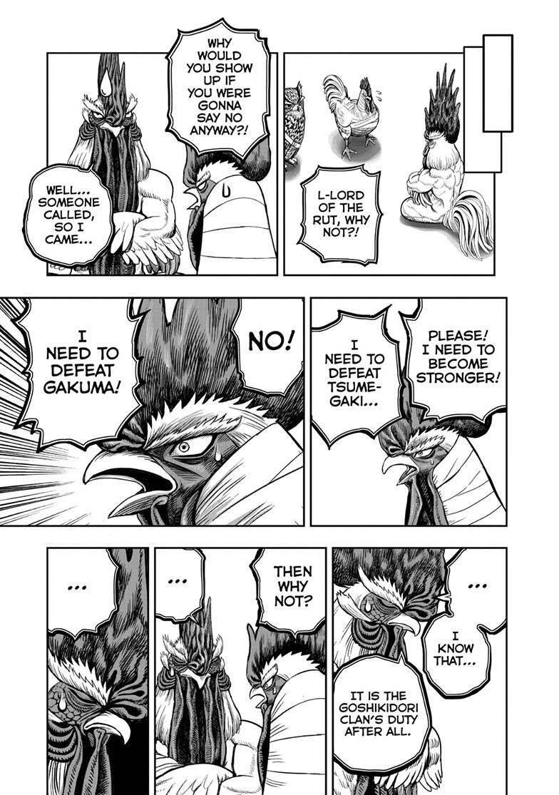 Read Rooster Fighter Manga Online