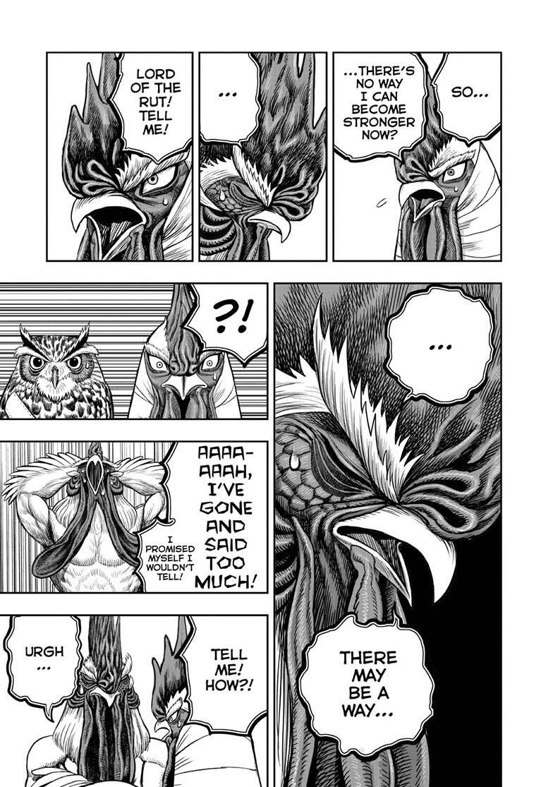 Read Rooster Fighter Manga Online