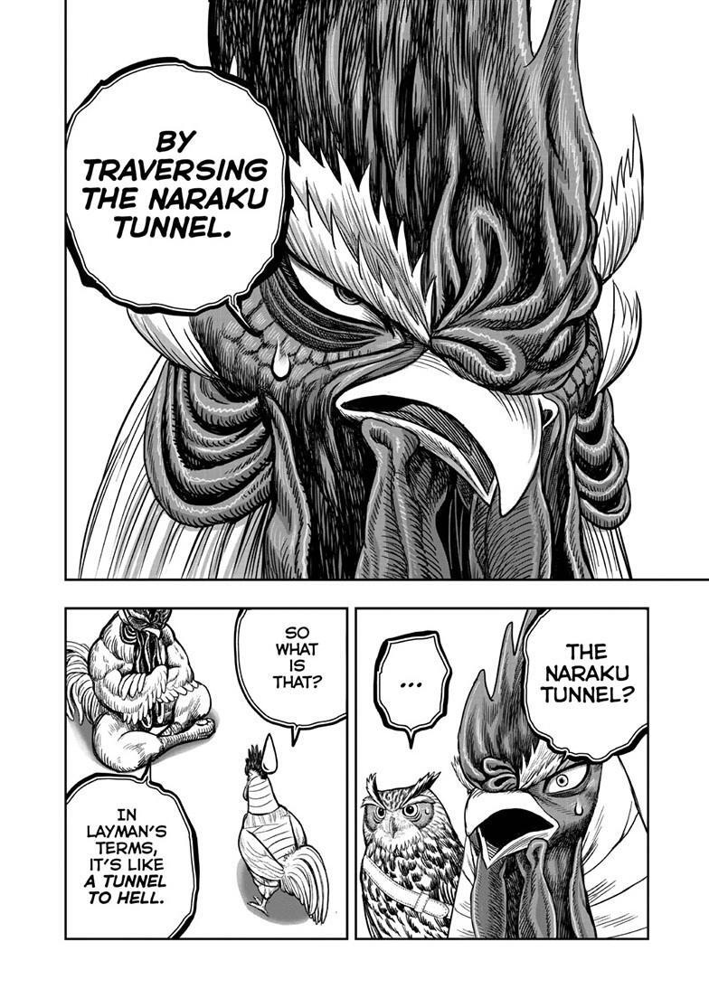 Read Rooster Fighter Manga Online