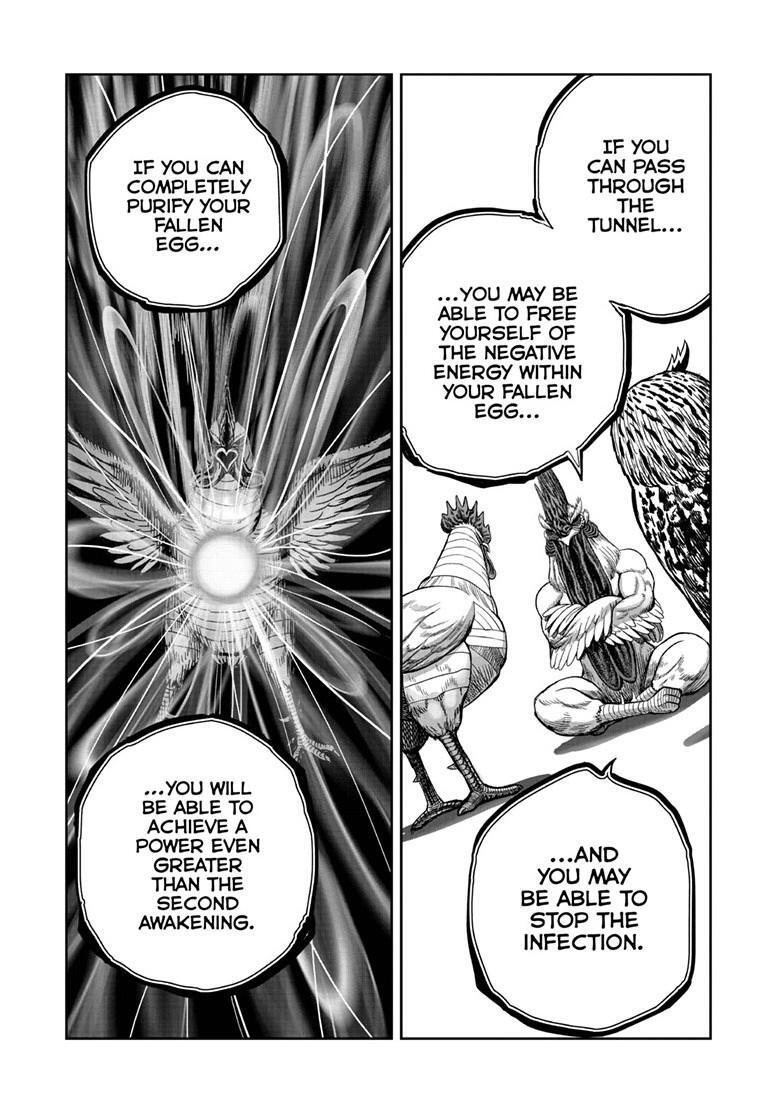 Read Rooster Fighter Manga Online