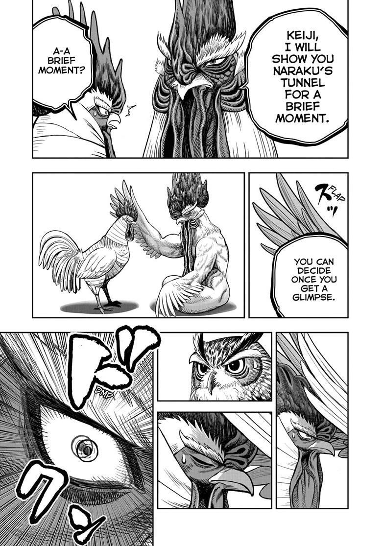 Read Rooster Fighter Manga Online