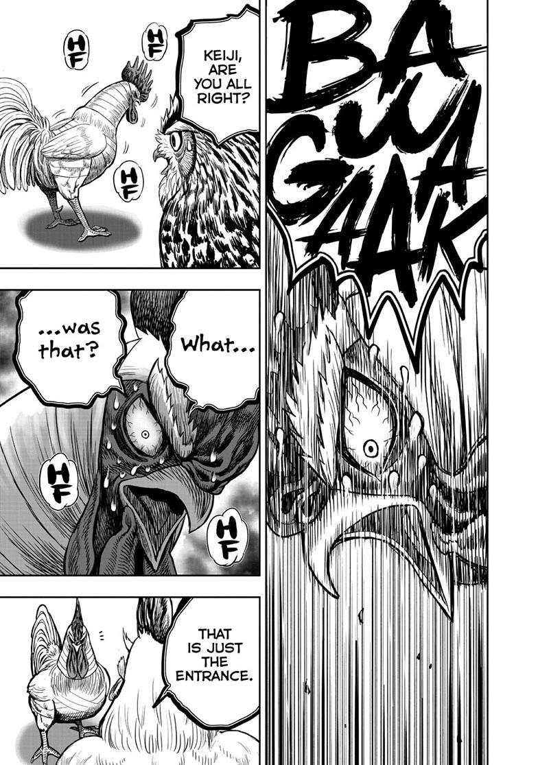 Read Rooster Fighter Manga Online