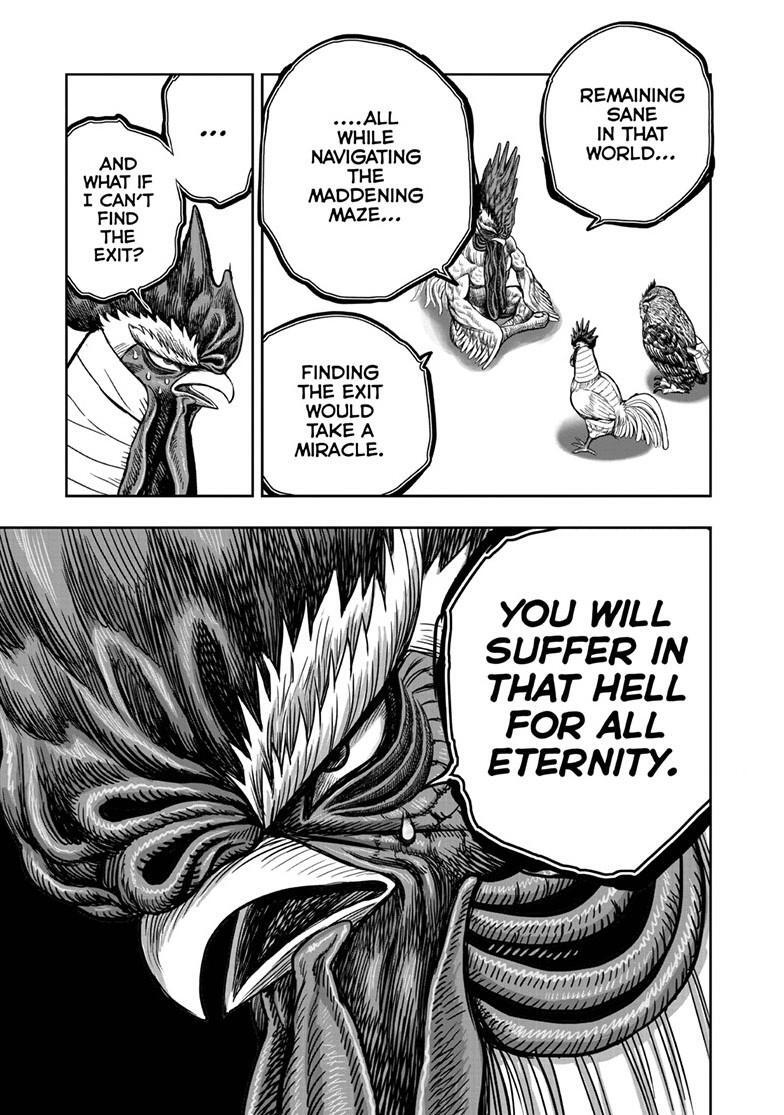 Read Rooster Fighter Manga Online