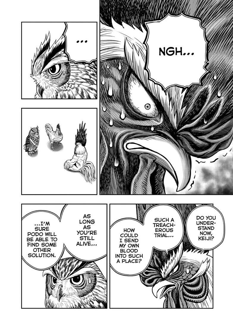 Read Rooster Fighter Manga Online