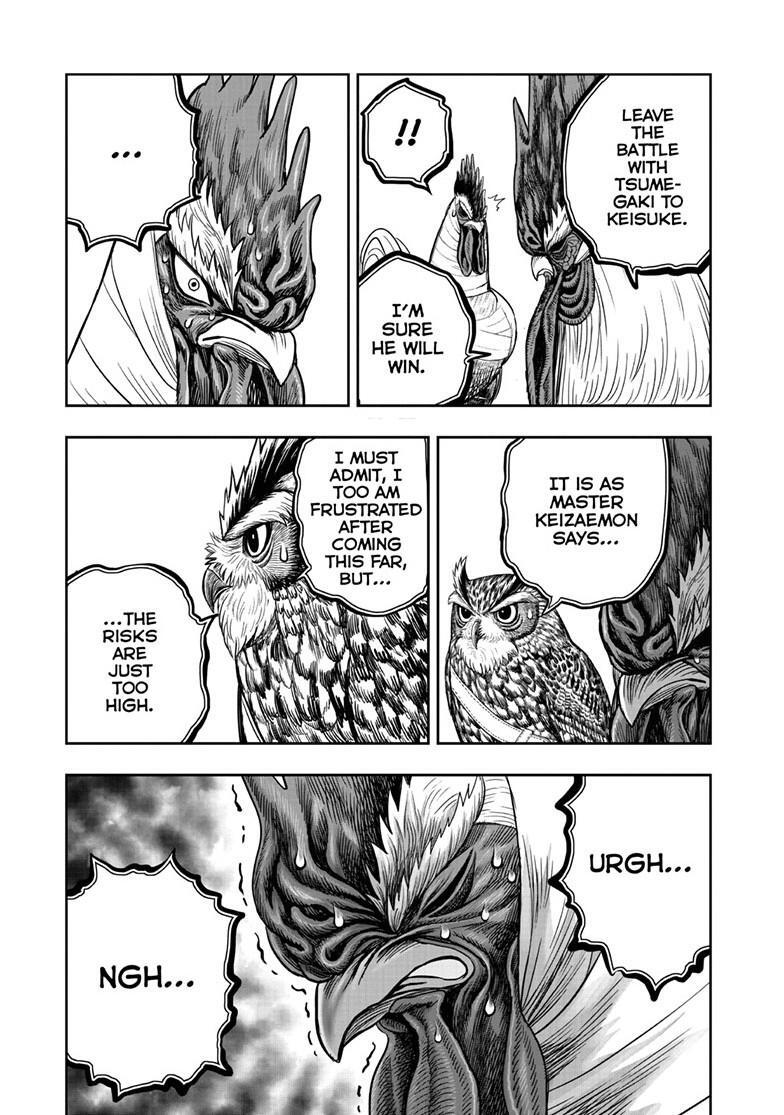 Read Rooster Fighter Manga Online