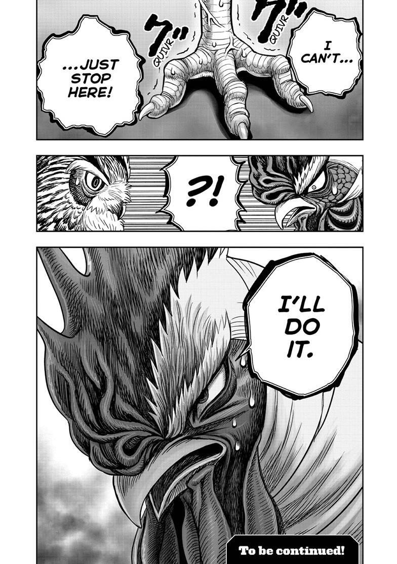 Read Rooster Fighter Manga Online