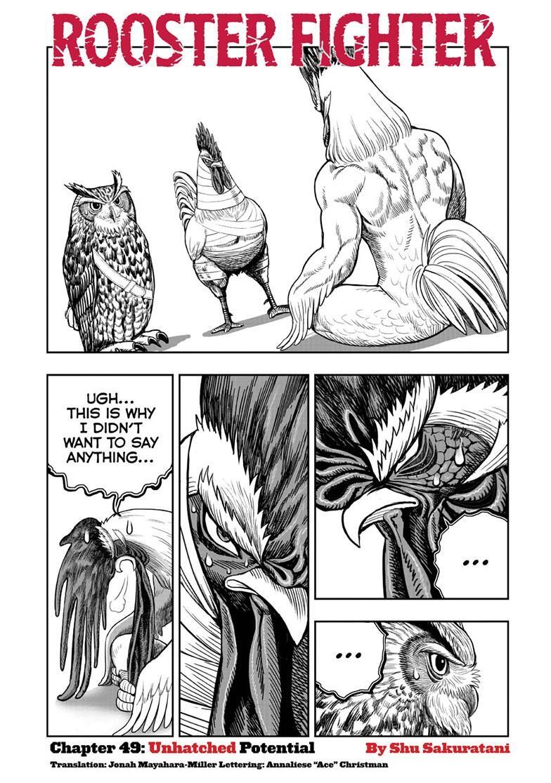 Read Rooster Fighter Manga Online