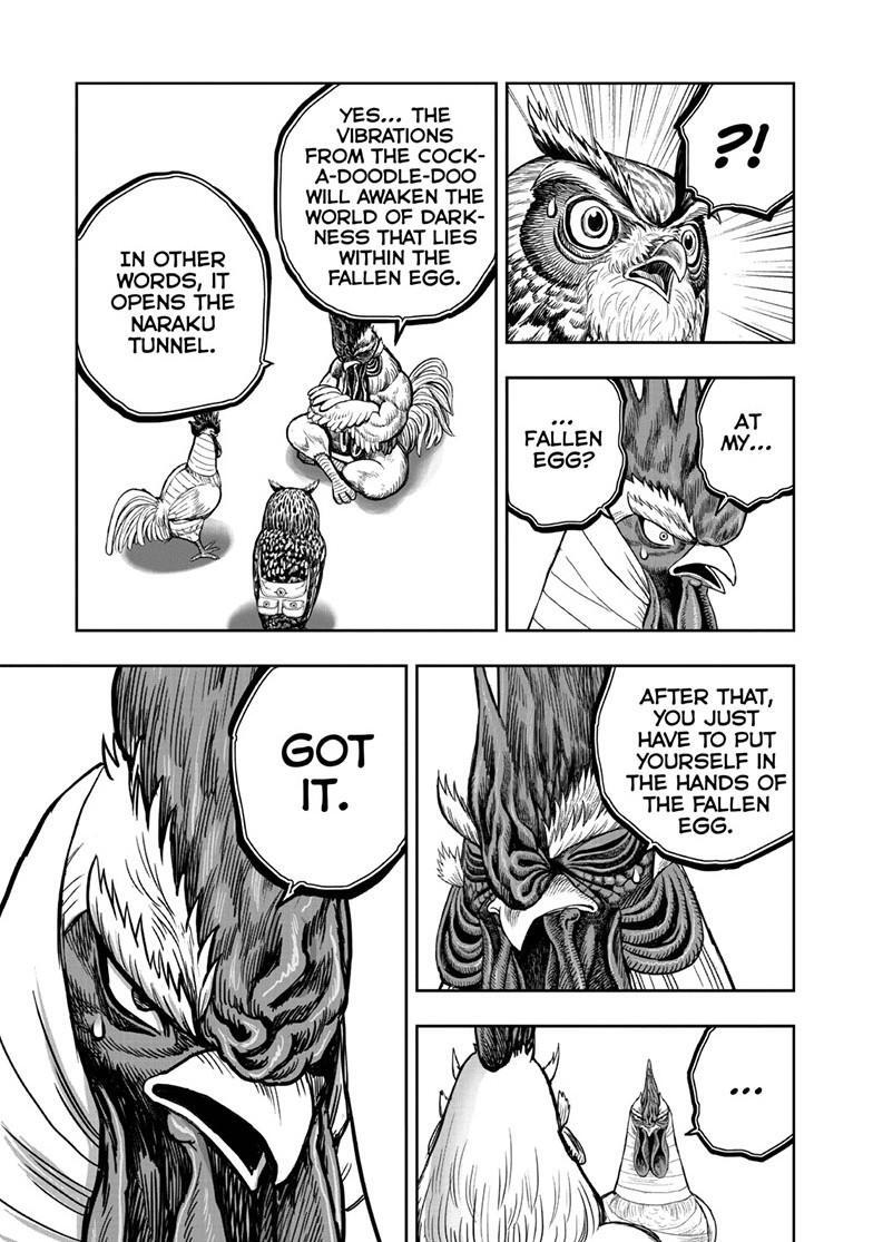 Read Rooster Fighter Manga Online