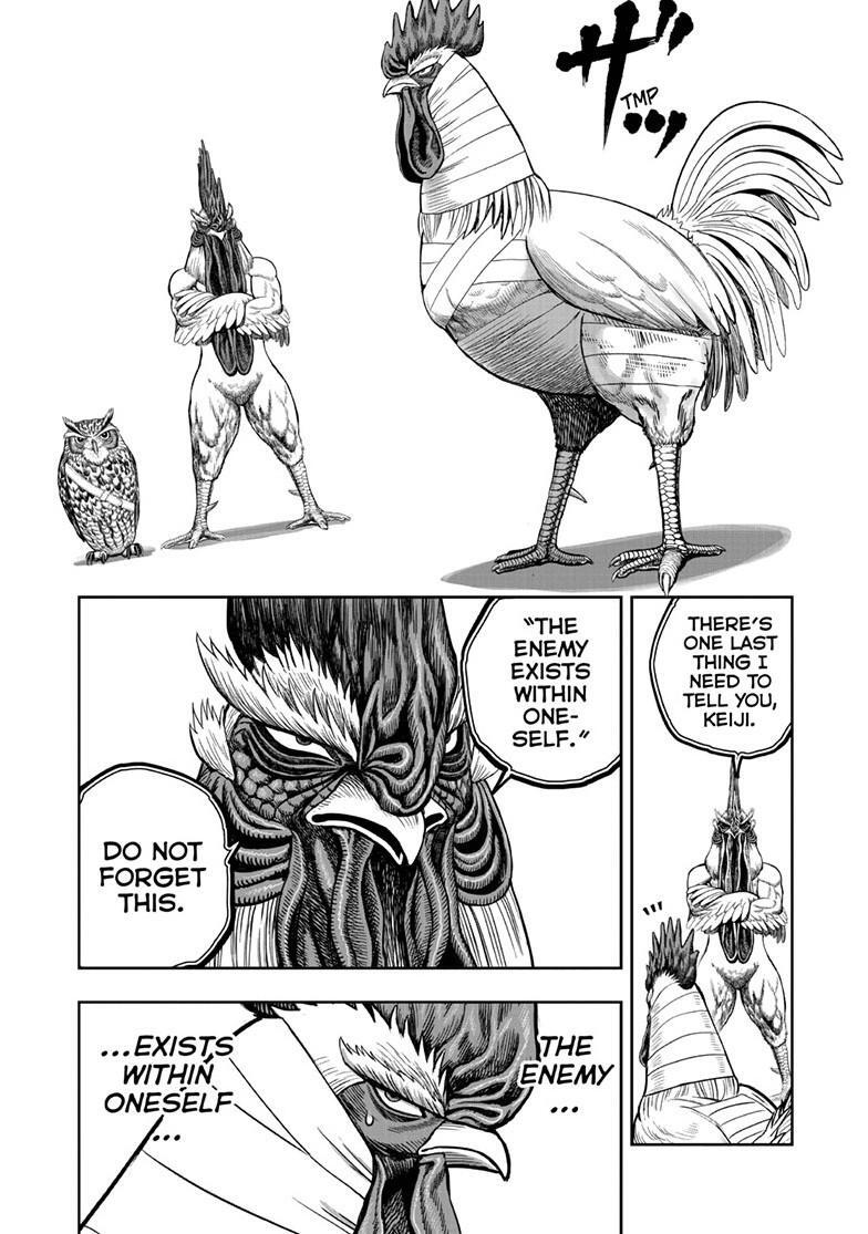 Read Rooster Fighter Manga Online