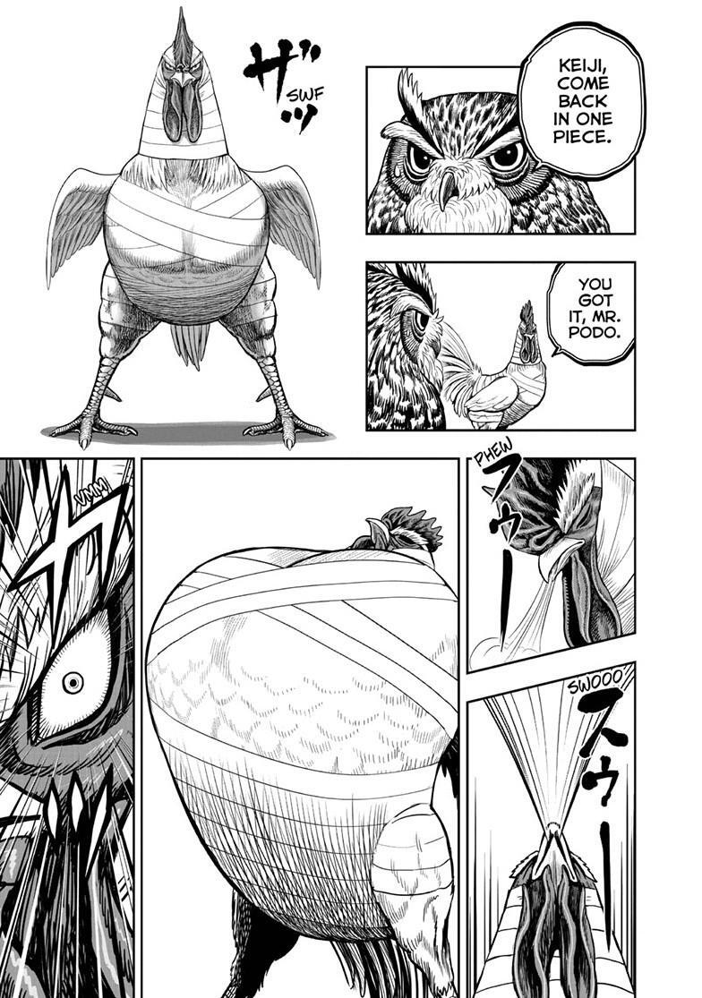 Read Rooster Fighter Manga Online