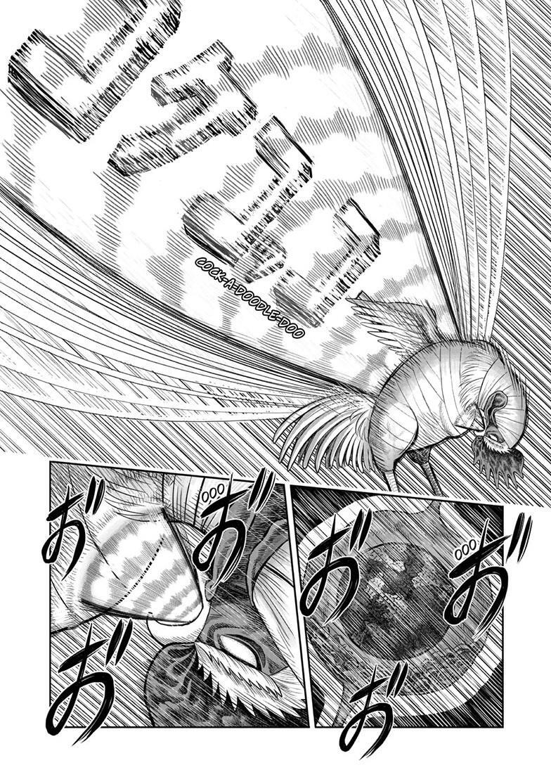 Read Rooster Fighter Manga Online