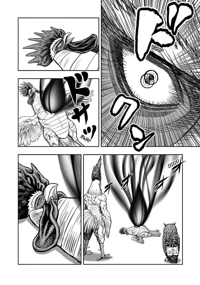 Read Rooster Fighter Manga Online