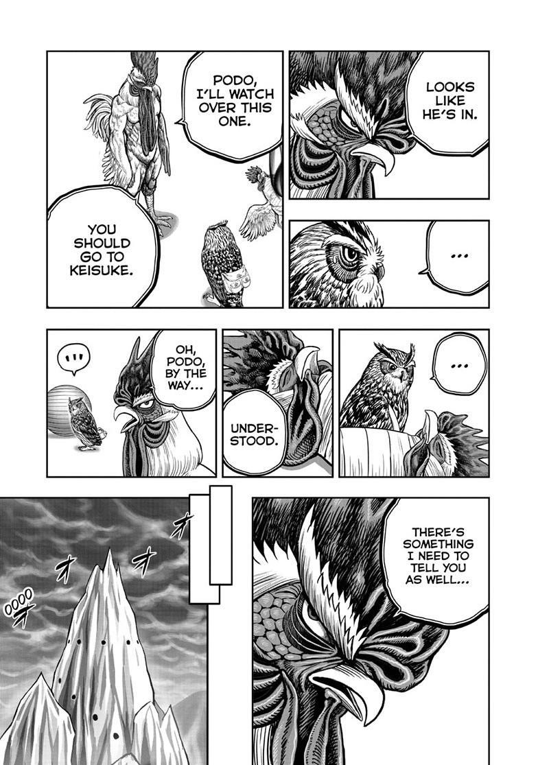 Read Rooster Fighter Manga Online
