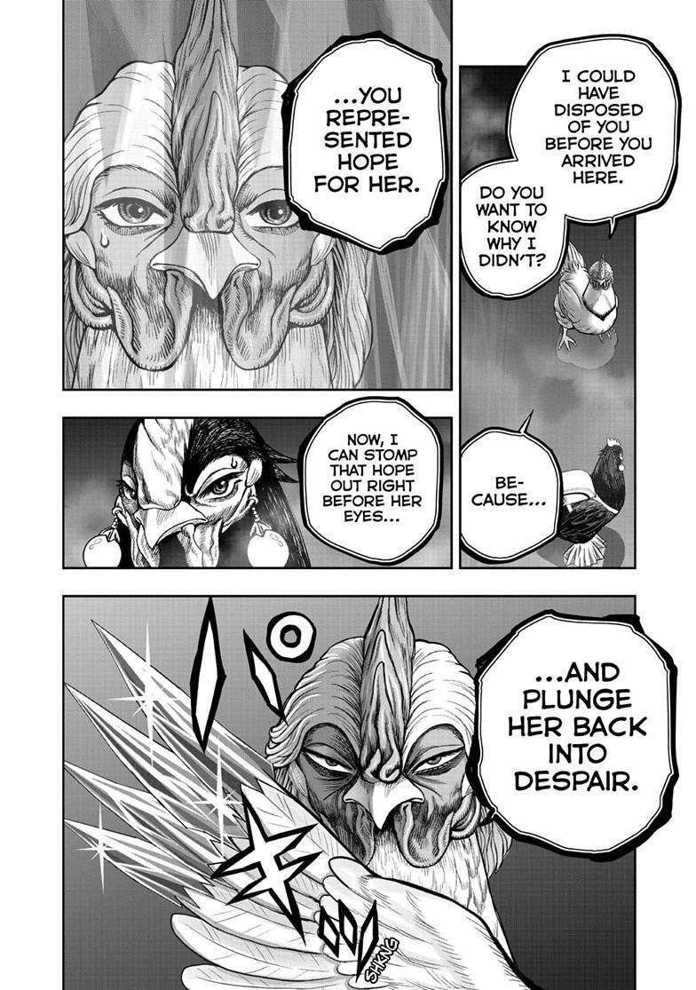 Read Rooster Fighter Manga Online